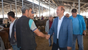 Başkan Bozkurt Canlı Hayvan Borsasını Ziyaret Etti