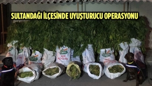UYUŞTURUCU OPERASYONLARI DEVAM EDİYOR