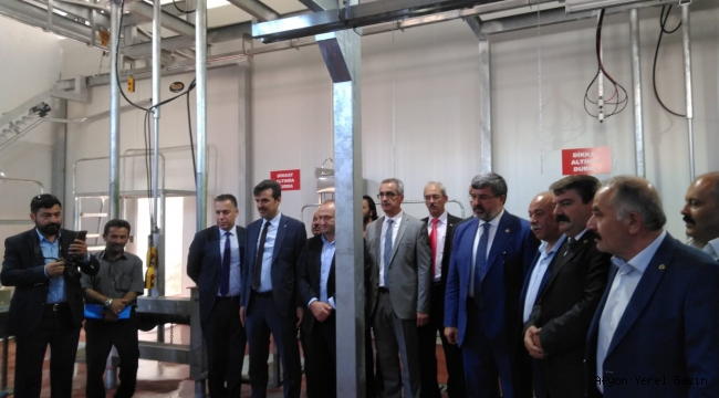 Dinar mezbahaya kavuştu