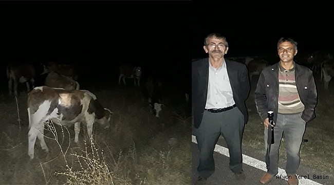 Dinar Yıprak Köyünde Hayvan Hırsızları Kaçtılar