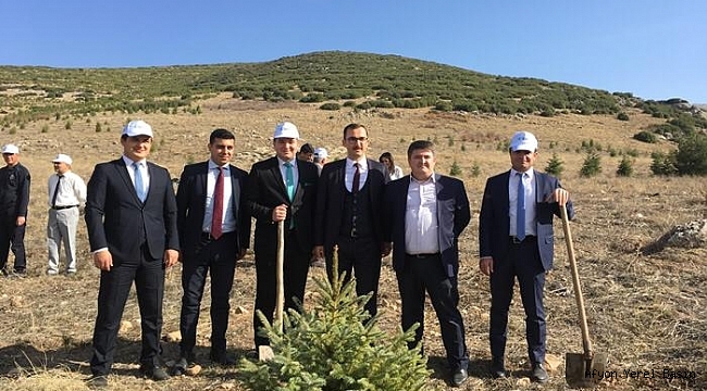 Dinar Adalet Ormanına 500 Karacam Dikildi