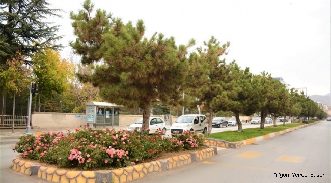 PEYZAJ ÇALIŞMALARI DEVAM EDİYOR..