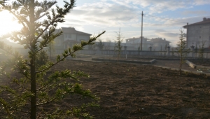 Atatürk Camisinin Bahçe Düzenlenmesi Tamamlandı