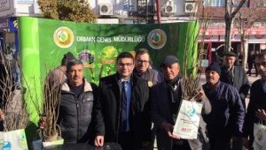 Emirdağ'da 12 Bin Ücretsiz Fidan Dağıtıldı..
