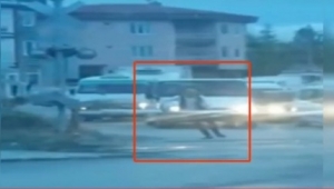 Hemzemin geçitteki bariyeri söken sürücüye ceza