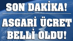 Son dakika: Milyonların beklediği Asgari ücret zammı belli oldu..!!