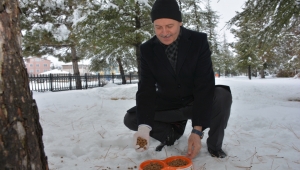 Şuhut Belediyesi Sokak Hayvanlarını Unutmadı