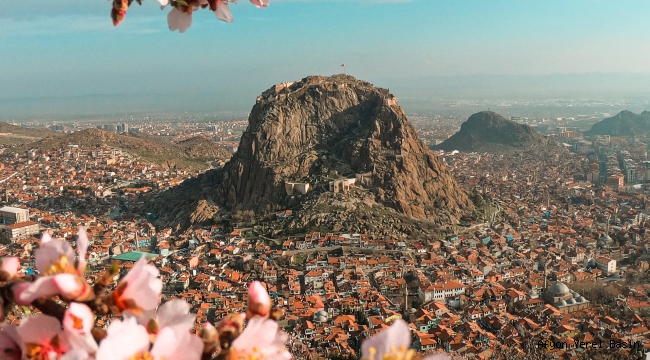 Afyon’da baharın müjdecisi: Badem ağaçları çiçek açtı