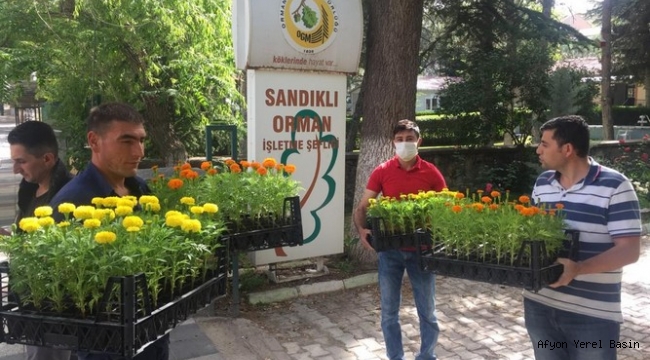SANDIKLI ÇİÇEK AÇTI