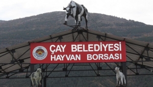Çay Belediyesi Hayvan Borsası Halkın Hizmetinde