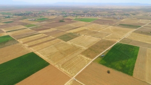  EVCİLER'DE AT VE TİGH PROJESİ TAMAMLANDI.