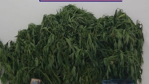 UYUŞTURUCU TİCARETİ YAPAN 3 ŞÜPHELİ ŞAHIS GÖZALTINDA..