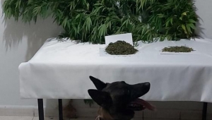 DAZKIRI İLÇESİN' DE ESRAR MADDESİ ELE GEÇİRİLDİ..