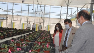 Tortop Belediye Çiçek Serasını Ziyaret Etti.