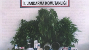 UYUŞTURUCU MADDE TİCARETİ YAPAN ŞEBEKE ÇÖKERTİLDİ.