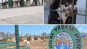  Başkan Sarı’dan 4 Ekim Dünya Hayvanları Koruma Günü” mesajı