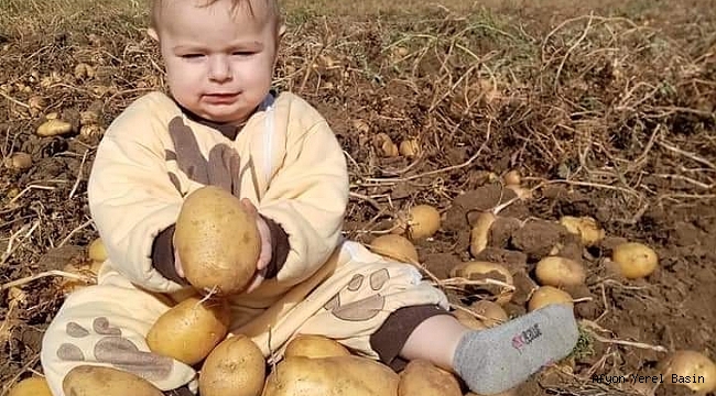 Dinar Çöl Ovasından Mektup