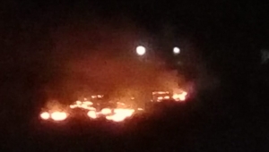 Kent Ormanın'da Çıkan Yangın Kontrol Altına Alındı 