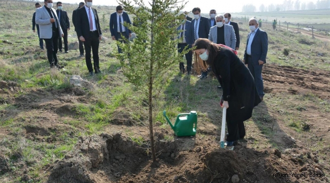 Geleceğe Nefes 11 Milyon Fidan