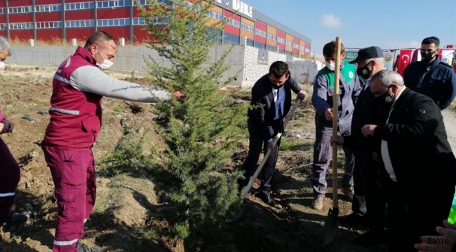 İscehisar'da Fidanlar Toprakla Buluştu