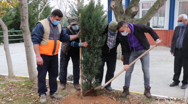 GECEK TERMAL’DE 600 YENİ AĞAÇ DİKİLDİ