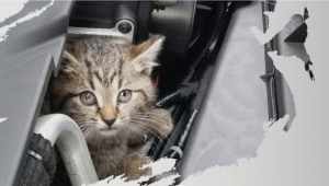 ZEYBEK BAŞKAN ARAÇ SÜRÜCÜLERİNİ UYARDI