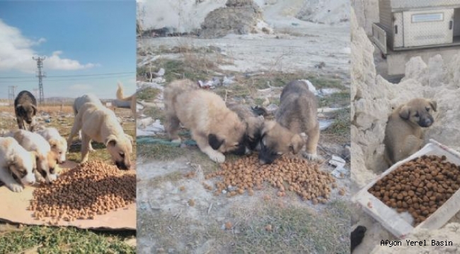 SOKAK HAYVANLARINI UNUTMADIK