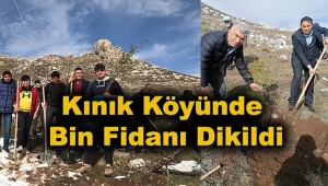 Kınık Köyünde Bin Fidan Dikildi