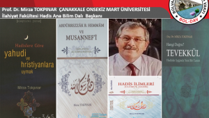 Prof. Dr. Mirza TOKPINAR Kimdir.?