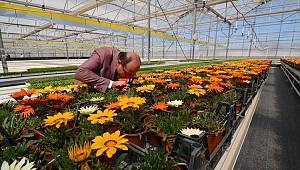 BAŞKAN MUSTAFA ÇÖL ÇİÇEK SERASINI ZİYARET ETTİ