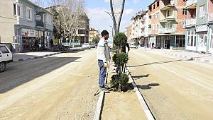 Çay İlçesinde ağaçlandırma çalışmaları yapıldı