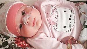 EFLİN LİNA'YI YAŞATALIM..