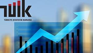 İşgücü İstatistikleri, Şubat 2021