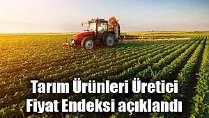 Tarım ürünleri üretici fiyat endeksi (Tarım-ÜFE) yıllık %22,06, aylık %2,52 arttı