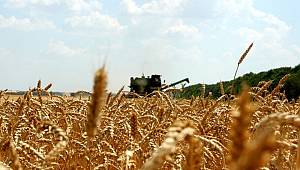 Tarımsal girdi fiyat endeksi (Tarım-GFE) yıllık %19,60, aylık %1,40 arttı