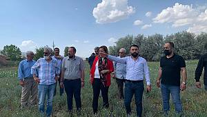 “Çiftçi kan ağlıyor, ekinler susuzluktan kurumuş”