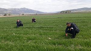  Dinar’da Kuraklıktan Büyümeyen Mahsul Duyurusu