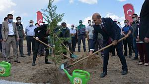 Şuhut Millet Bahçesinde ilk fidan toprakla buluştu