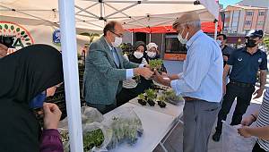 VATANDAŞLARIMIZA ÜCRETSİZ FİDE DAĞITIMI YAPILDI
