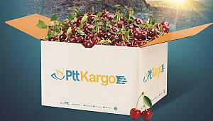 PTT KARGO’DAN KİRAZ VE VİŞNE GÖNDERİLERİNE YÜZDE 20 İNDİRİM