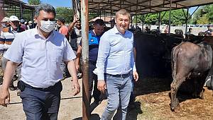 Başkan Atlı Hayvan Borsasını Ziyaret Etti