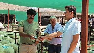  Dinar'da kurban pazarı başladı