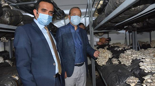 Milletvekili Taytak, ilçelere çıkartma yaptı