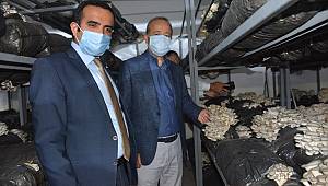 Milletvekili Taytak, ilçelere çıkartma yaptı