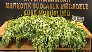 NARKOTİK SUÇLARLA MÜCADELEDE TAM GAZ..!