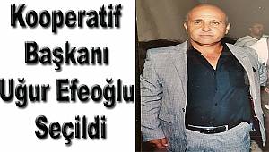 Tarımsal Kooperatifi Başkanlığına Uğur Efeoğlu Seçildi
