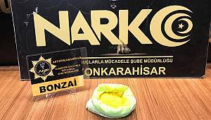 Bonzai Maddesi Ele Geçirildi