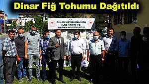  Dinar'da Hibe Fiğ Tohumu dağıtıldı