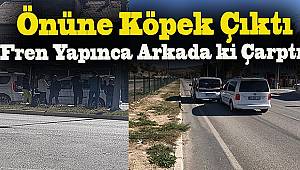  Dinar’da 2 Araç Çarpıştı