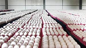 İHRACATTA YÜKSELİŞ DEVAM EDİYOR